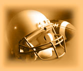 FUZZY'S FANTASY FOOTBALL LEAGUE